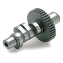 Andrews, 1 grind / .427" lift camshaft. (low CR)